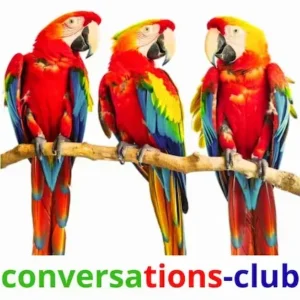 conversion en portugais en petit groupe, en ligne